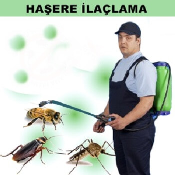 İnebolu Böcek İlaçlama